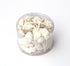 Small Premium whisper white mixed seashell pack